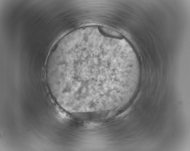 X0000068741145200605192338