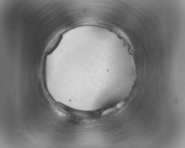 X0000068741146200605192338