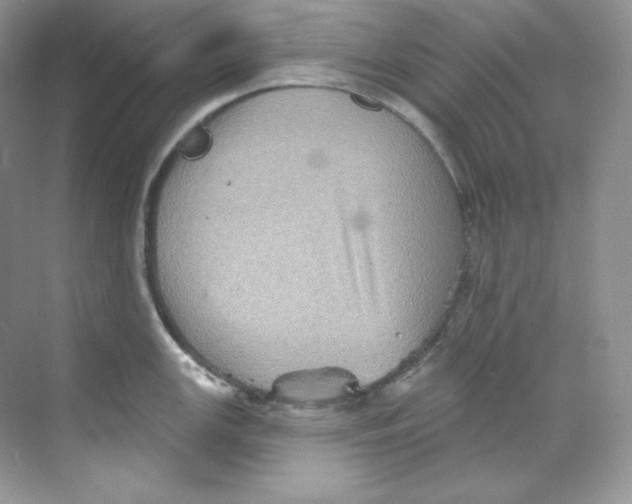 X0000068741147200605192338