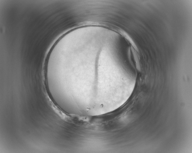 X0000068741148200605192338