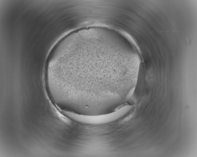 X0000068741149200605192338