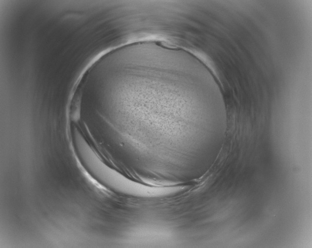 X0000068741151200605192338