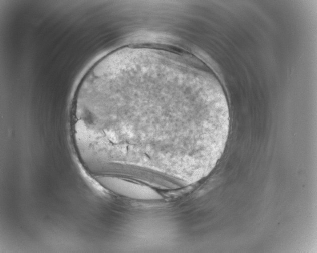 X0000068741152200605192338