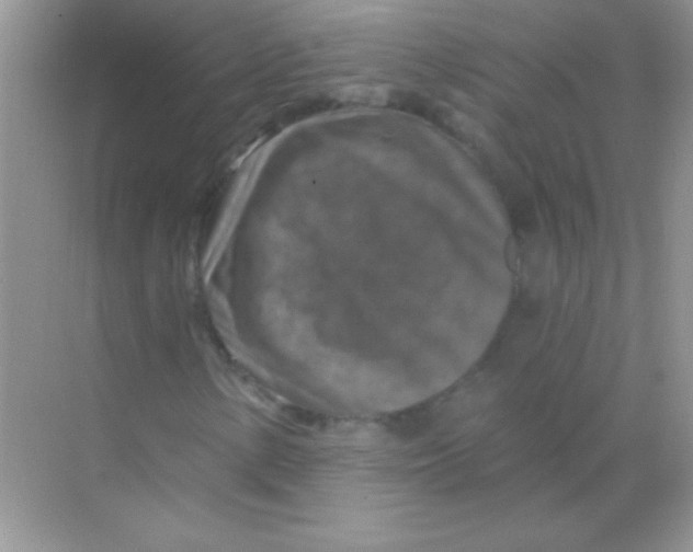 X0000068741154200605192338