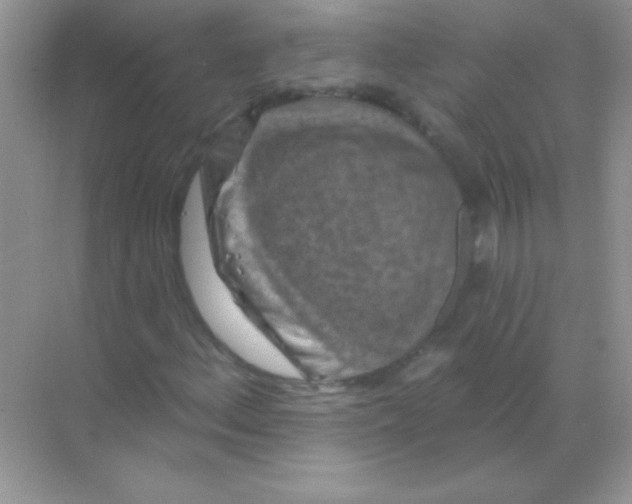 X0000068741156200605192337