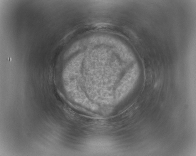 X0000068741158200605192337