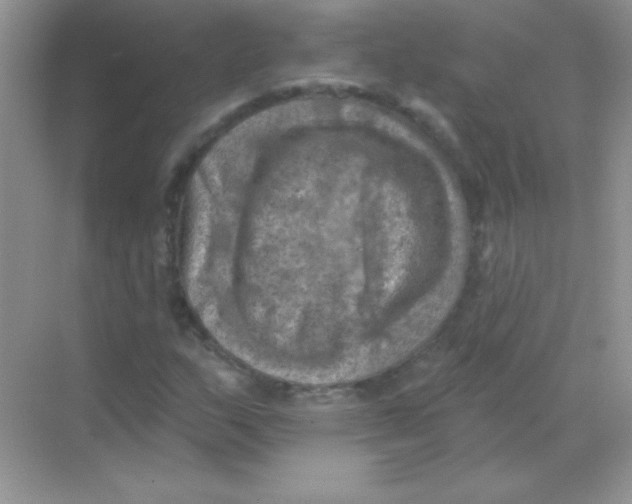 X0000068741159200605192337