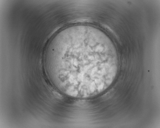 X0000068741162200605192337