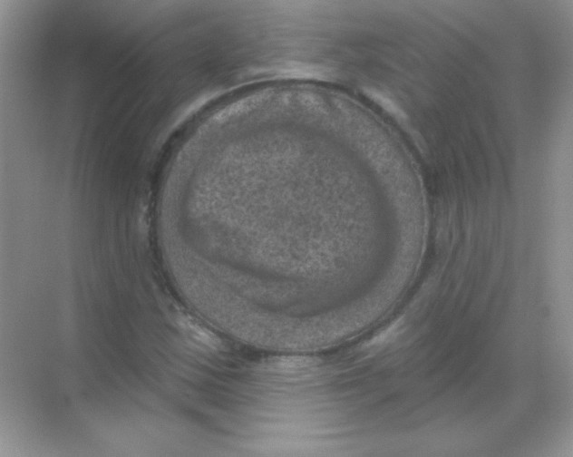 X0000068741163200605192337