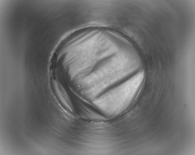 X0000068741168200605192337