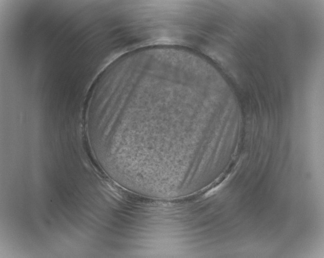 X0000068741170200605192337