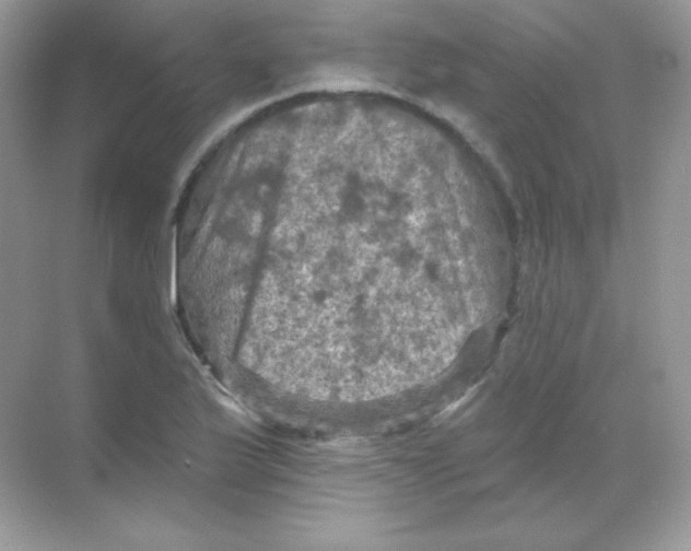 X0000068741175200605192337