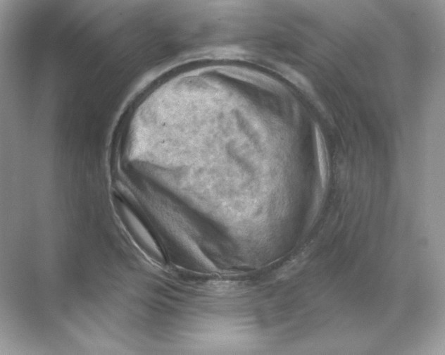 X0000068741176200605192337