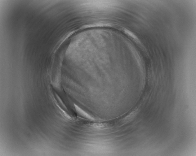 X0000068741177200605192337