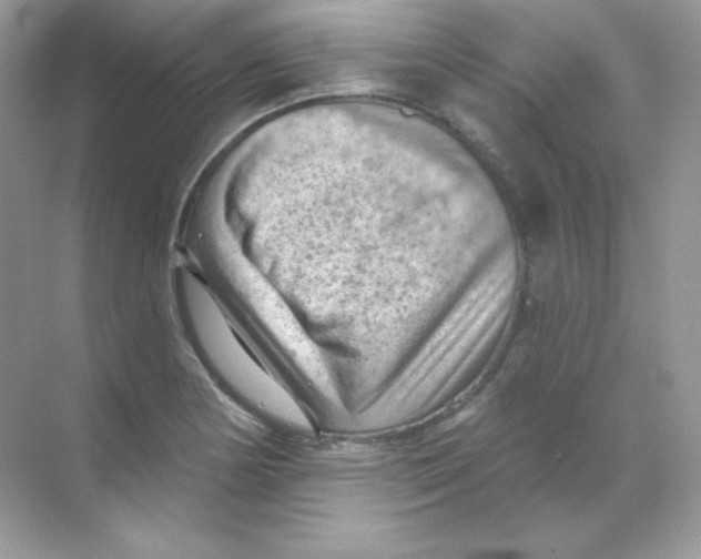 X0000068741178200605192337