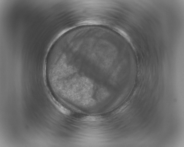 X0000068741179200605192337