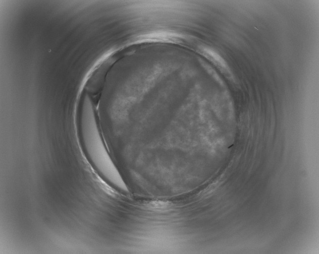 X0000068741180200605192337