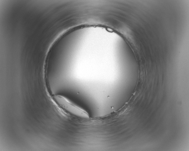 X0000068741183200605192337