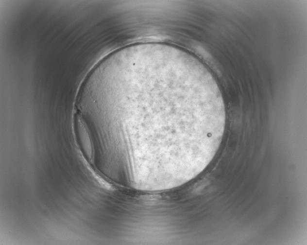 X0000068741186200605192337