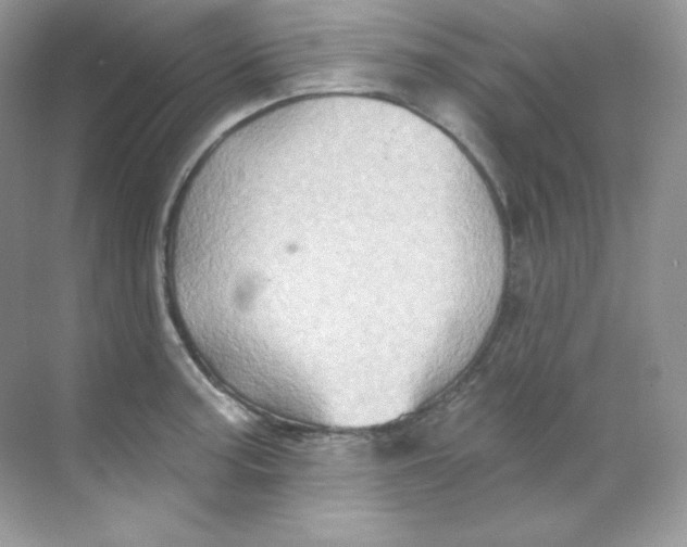 X0000068741187200605192337