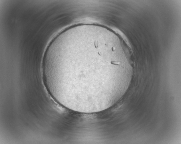 X0000068741191200605192337