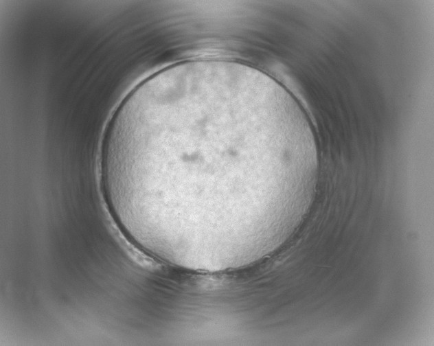 X0000068741195200605192337