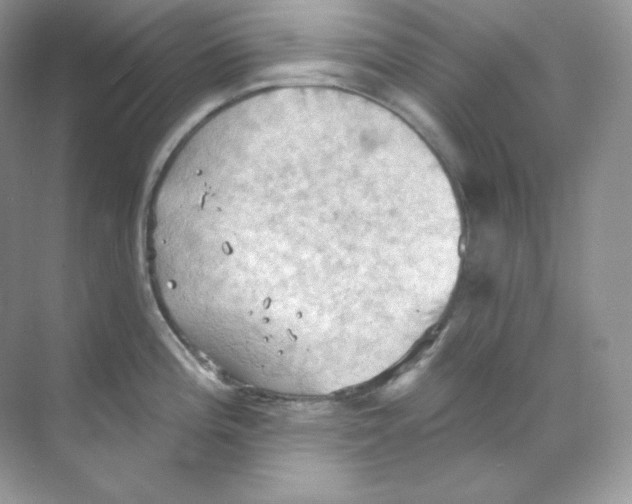 X0000068741196200605192337