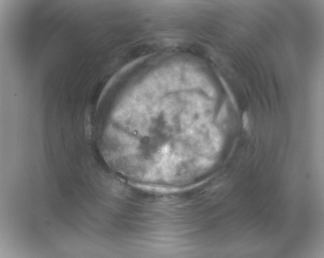 X0000068741203200605192336