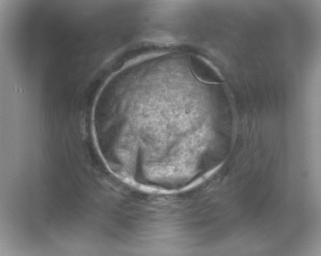 X0000068741205200605192336