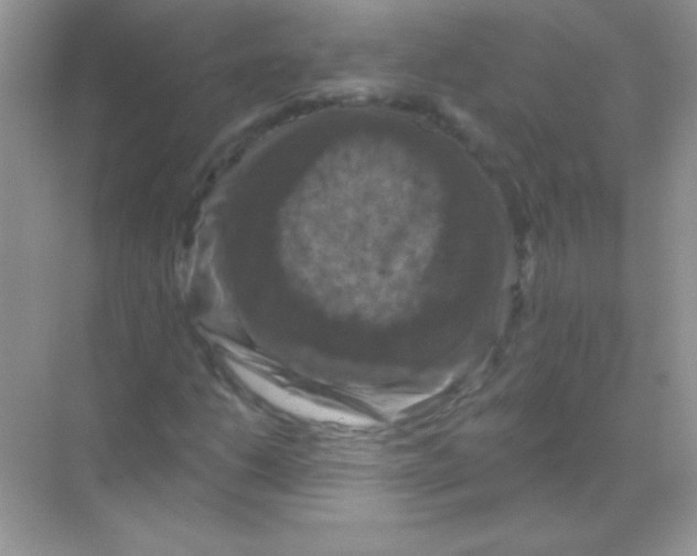 X0000068741206200605192336