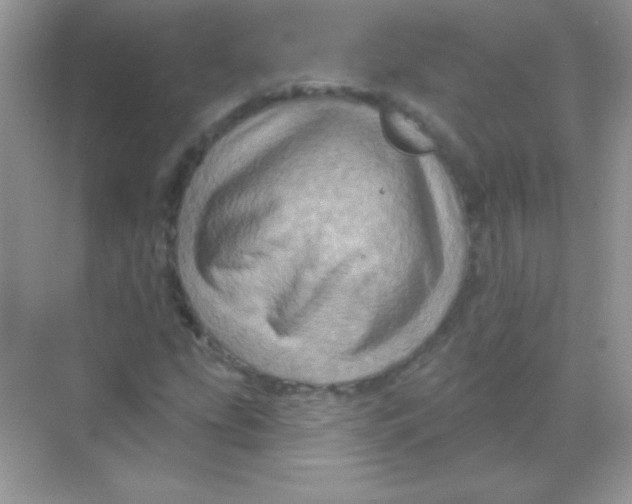 X0000068741207200605192336