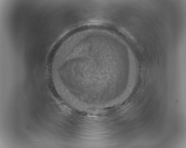 X0000068741208200605192336