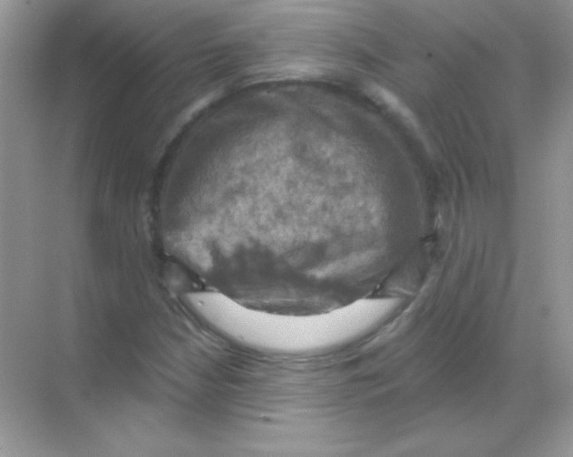 X0000068741210200605192336