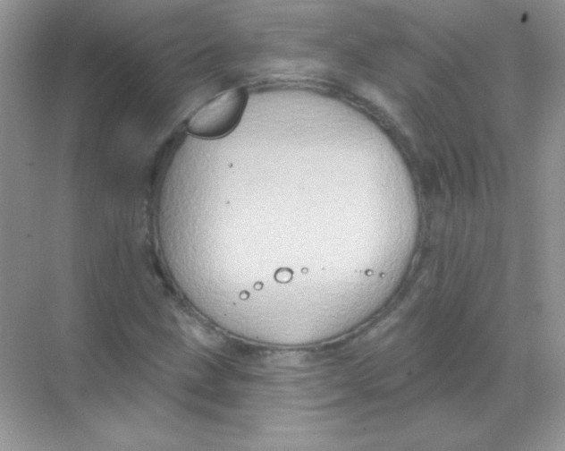 X0000068741211200605192336