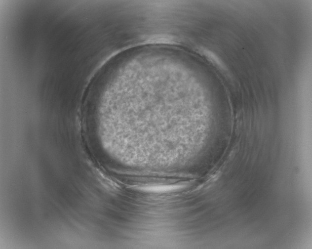 X0000068741212200605192336