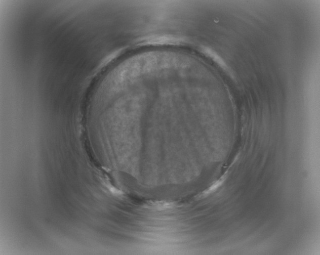 X0000068741213200605192336