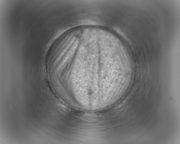 X0000068741215200605192336