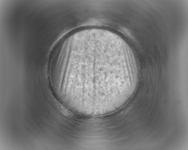 X0000068741216200605192336