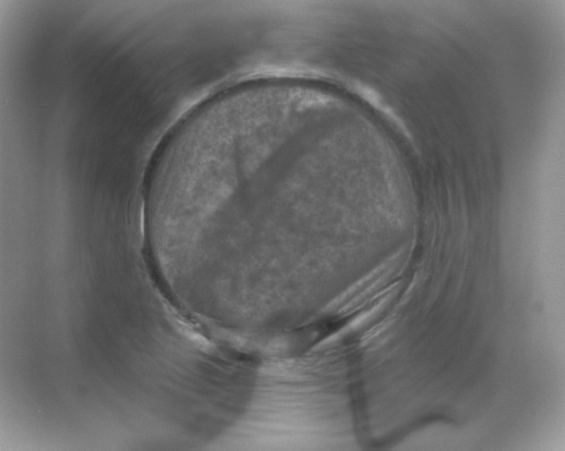 X0000068741221200605192336