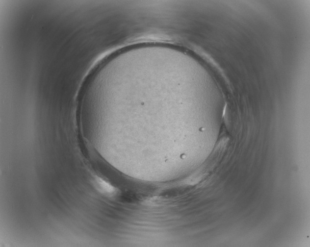 X0000068741222200605192336