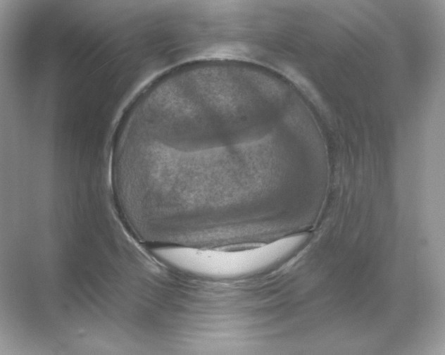 X0000068741224200605192336