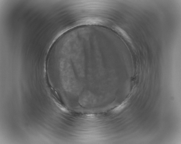 X0000068741226200605192336