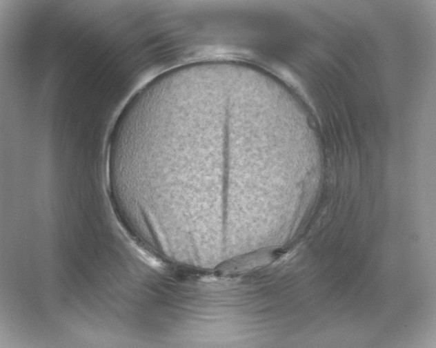 X0000068741227200605192336