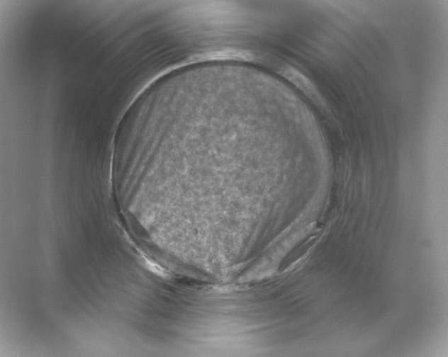 X0000068741228200605192336