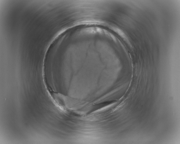 X0000068741229200605192336