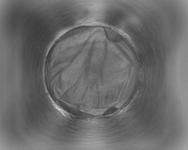 X0000068741231200605192336