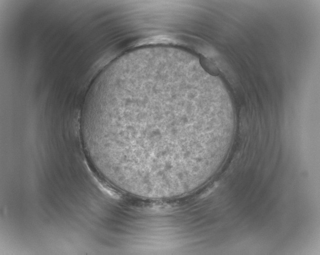 X0000068741233200605192336