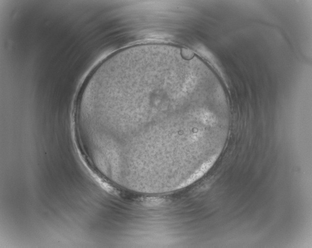 X0000068741235200605192337