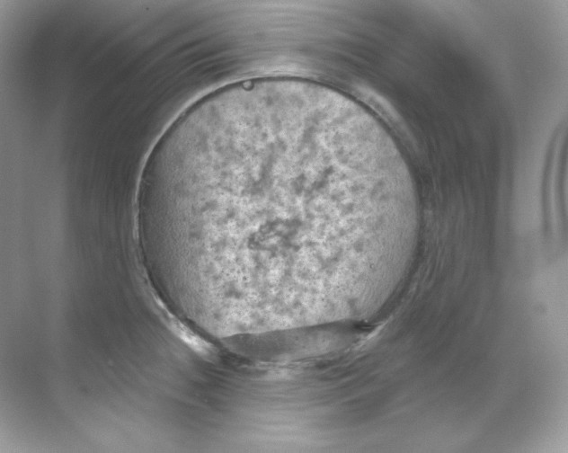 X0000068741236200605192337