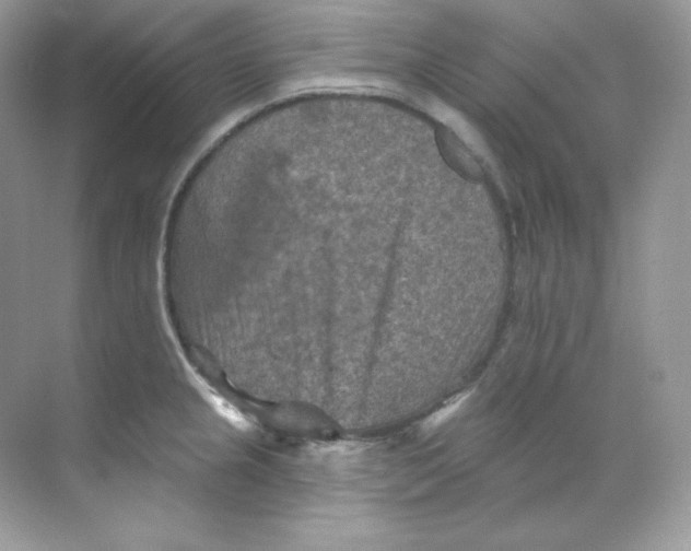 X0000068741237200605192337